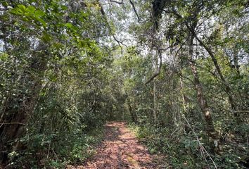 Lote de Terreno en  Puerto Morelos, Cancún