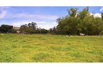 Lote de Terreno en  Rionegro Antioquía