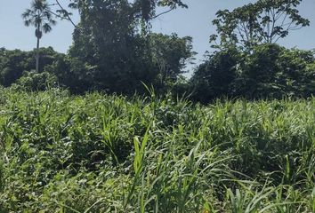 Terreno en  Yurimaguas, Alto Amazonas