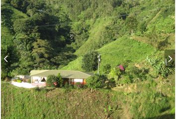 Villa-Quinta en  Pijao, Quindío