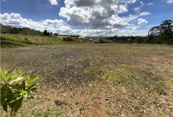 Lote de Terreno en  Rionegro Antioquía