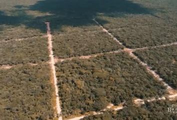 Lote de Terreno en  Celestún, Yucatán