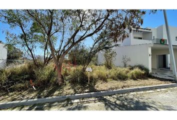 Lote de Terreno en  Palmares Residencial, Monterrey