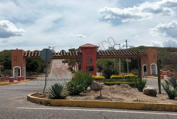 Lote de Terreno en  Rancho O Ranchería San Vicente De Juárez, Ayala