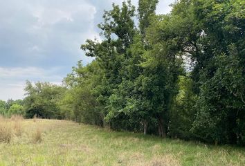 Lote de Terreno en  San Pedro, Almoloya De Juárez