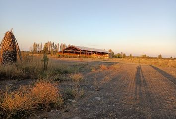 Parcela en  Chillán, Ñuble (región)