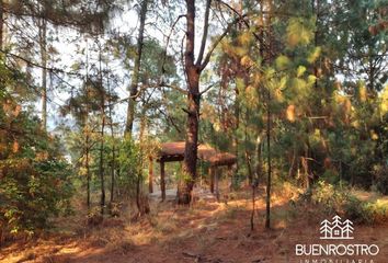 Lote de Terreno en  Carretera A San Mateo Acatitlán 20-20, Avándaro, Valle De Bravo, México, 51200, Mex