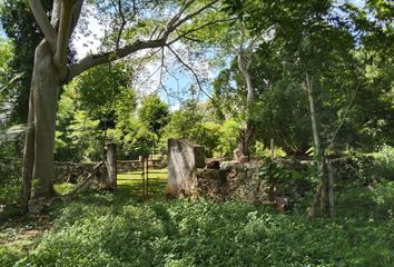 Rancho en  Calle 32, Teabo, Yucatán, Mex