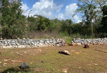 Rancho en  Calle 23, Centro, Mayapán, Yucatán, 97908, Mex