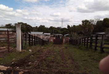 Rancho en  Calle 26-a, Chapab, Yucatán, 97857, Mex