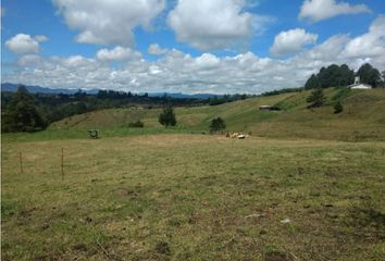 Lote de Terreno en  Guarne, Antioquia