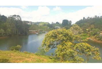 Lote de Terreno en  El Peñol, Antioquia