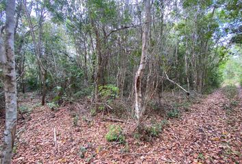 Lote de Terreno en  Bacalar, Bacalar, Bacalar, Quintana Roo