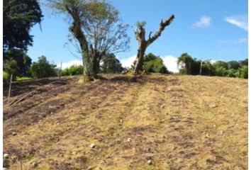 Lotes y Terrenos en  Los Naranjos, Boquete