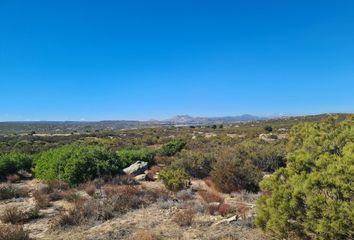 Rancho en  Avenida Venustiano Carranza, Luis Echeverría Álvarez, El Hongo, Luis Echeverría Álvarez, Tecate, Baja California, 21505, Mex