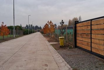 Parcela en  Colina, Chacabuco