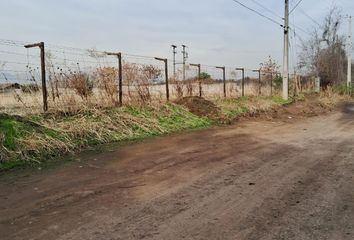 Parcela en  Colina, Chacabuco