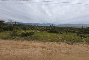 Parcela en  Los Vilos, Choapa