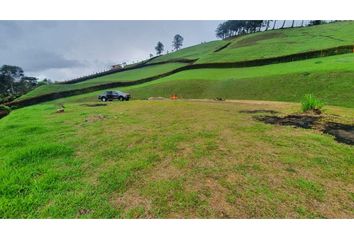 Lote de Terreno en  El Peñol, Antioquia