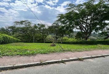 Lote de Terreno en  Centro, Manizales