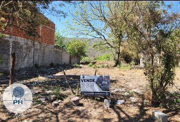 Terrenos en  Ruta Provincial 2, San Antonio, Jujuy, Arg