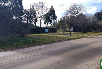 Quinta/Finca en  Ruta Provincial 58 2195, Chascomús, Provincia De Buenos Aires, Arg