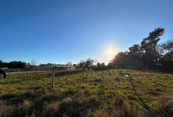 Terrenos en  Calle Marcos Angel, Bahía Blanca, Provincia De Buenos Aires, Arg