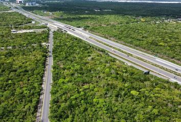 Lote de Terreno en  La Ceiba Minisuper Ciruela, Ceiba, La Ceiba, Mérida, Yucatán, Mex