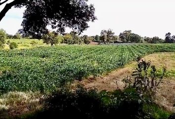 Lote de Terreno en  Arandas, Jalisco