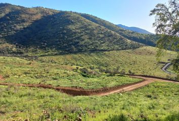 Parcela en  Requínoa, Cachapoal