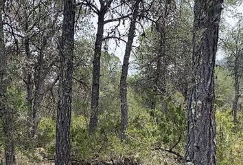 Lote de Terreno en  Calle Gonzalo Valdez, Huachichil, Arteaga, Coahuila De Zaragoza, Mex