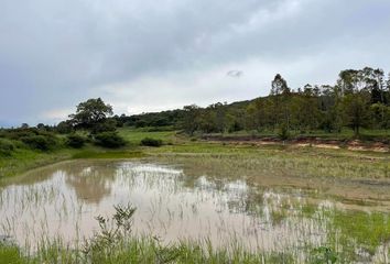 Lote de Terreno en  76895, San Miguel Dehetí, Querétaro, Mex