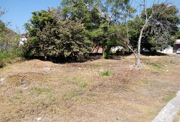 Lote de Terreno en  Fraccionamiento Las Fincas, Jiutepec, Morelos