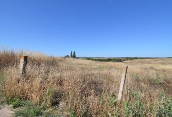 Terreno en  Almenara De Tormes, Salamanca Provincia