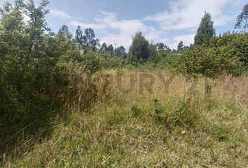 Terreno Comercial en  Amaguaña, Quito