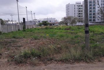 Lote de Terreno en  Urbanización Versalles, Montería