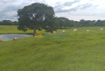 Lote de Terreno en  La Castellana, Montería