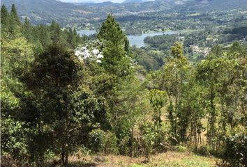 Lote de Terreno en  El Retiro, Antioquia