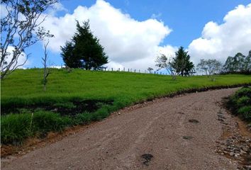 Lote de Terreno en  Campamento, Norte, Popayán