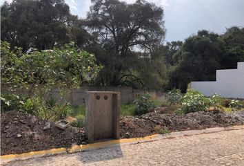 Lote de Terreno en  Burgos, Temixco, Temixco, Morelos