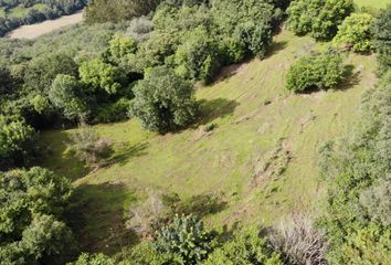 Chalet en  Grado, Asturias