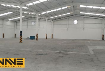 Nave en  Industrial La Silla, Guadalupe, Nuevo León