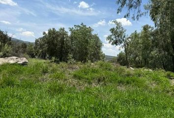 Lote de Terreno en  Tlacateco, Tepotzotlán