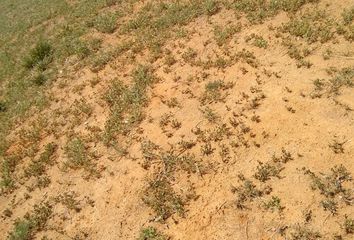 Lote de Terreno en  Los Patios, Norte De Santander