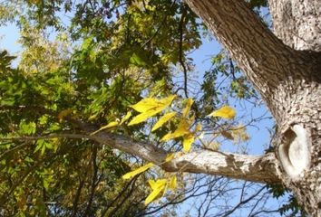 Lote de Terreno en  General Cepeda, Coahuila