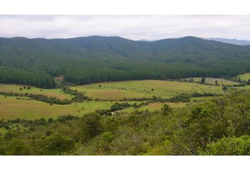 Parcela en  Ñiquén, Ñuble (región)