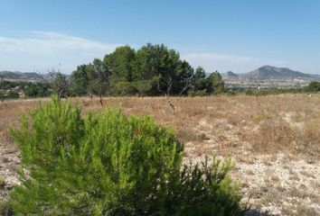 Terreno en  Sax, Alicante Provincia