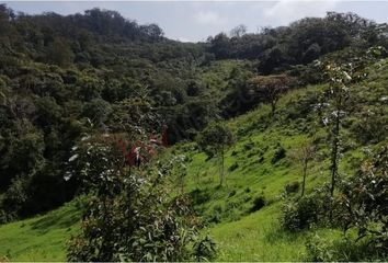 Lote de Terreno en  San Fernando, Chiapas