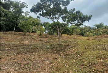 Lote de Terreno en  Pueblo Nuevo, Dagua