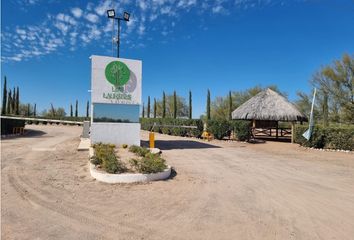 Lote de Terreno en  La Victoria, Hermosillo